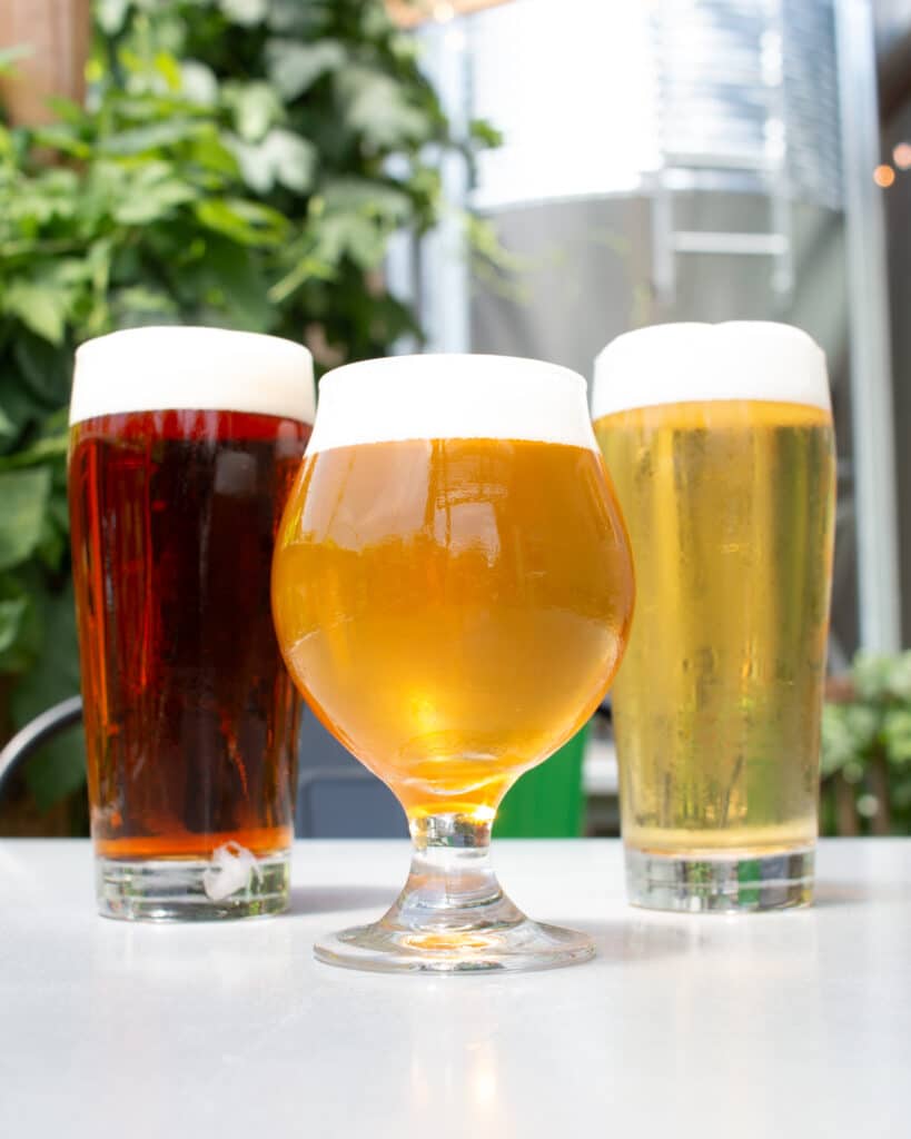 A photo shows three varieties of beer, including one tulip glass with a hazy beer, one pint with a clear beer, and one pint with an amber lager. The beers are located in an outdoor setting with hop vines growing in the background. Wissahickon Brewing Company, Philadelphia, pennsylvania, beer, East Falls, Kensington, Maple Glen.
